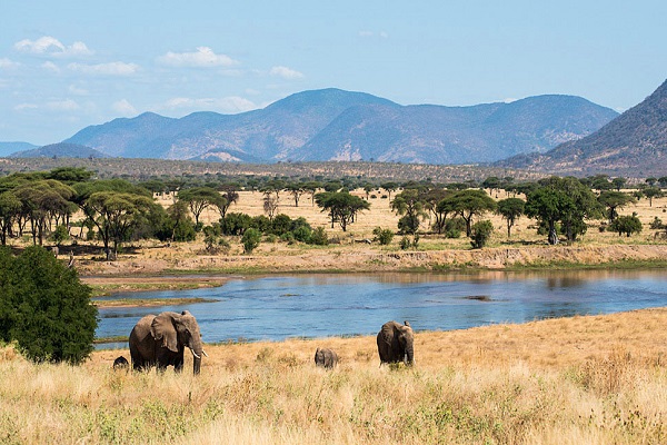 ruaha