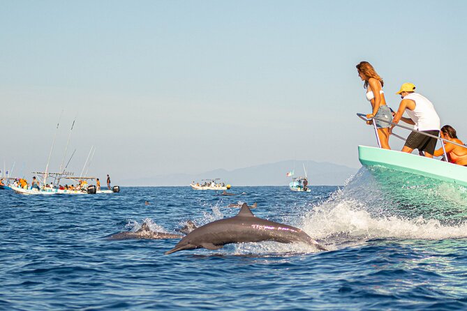 dolphin