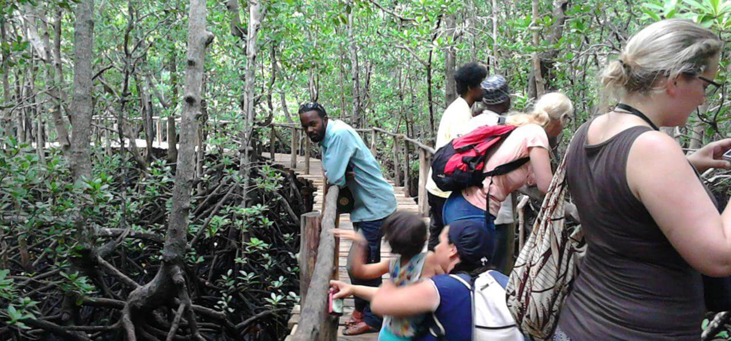 jozan nature guide