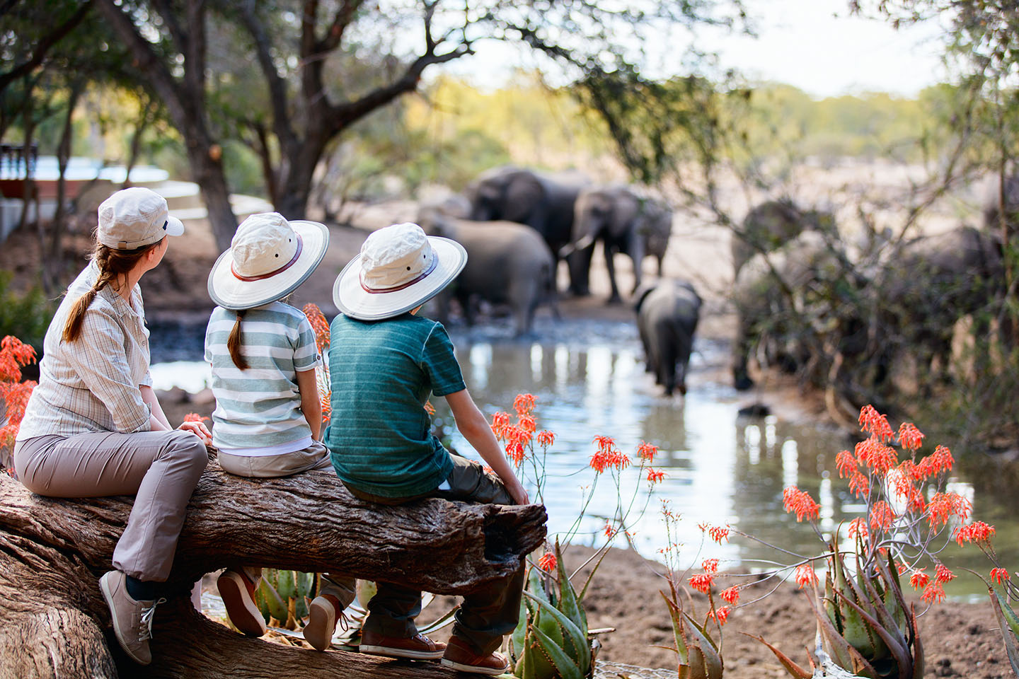 Safari holiday