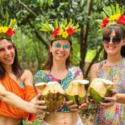 fun spice crown