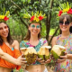 fun spice crown