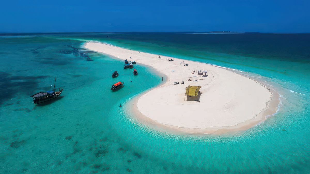 Combine It with a Jet Ski or Sandbank Trip-Kizimkazi Dolphin Tour