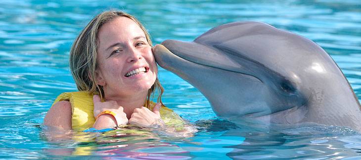 Dolphin Watching in Kizimkazi Zanzibar vacation for friends