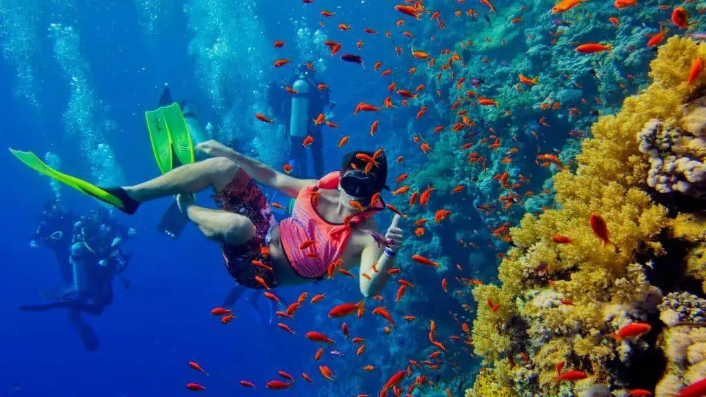 Snorkeling Tours In Zanzibar Beach