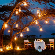 safaris honeymoon