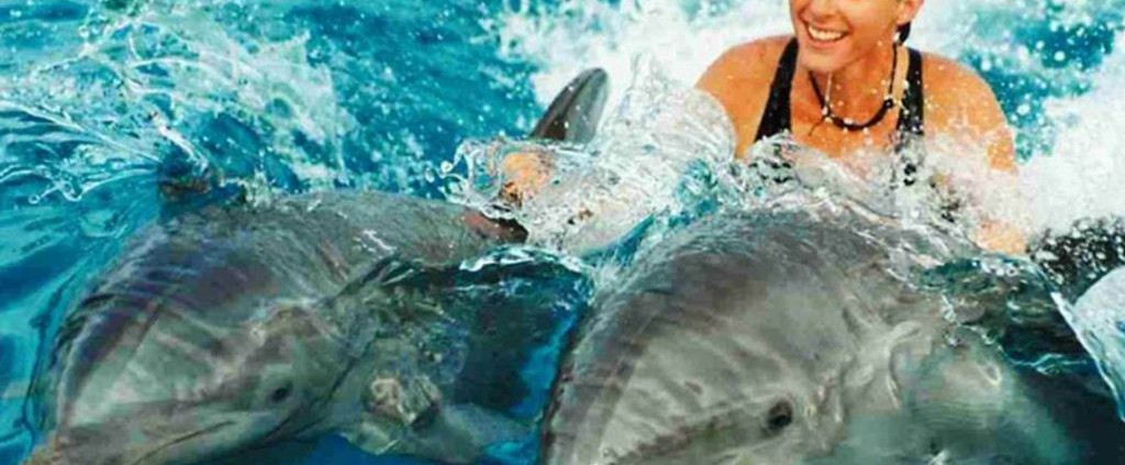 zanzibar dolphins tours