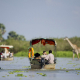 selous-boat-tour