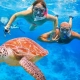 Swimming with turtle
