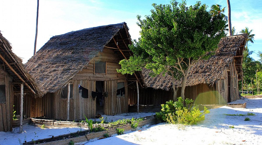 New Jambo Bungalows