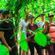 zanzibar spice farm