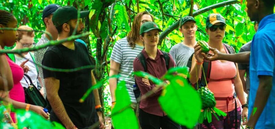 zanzibar spice farm