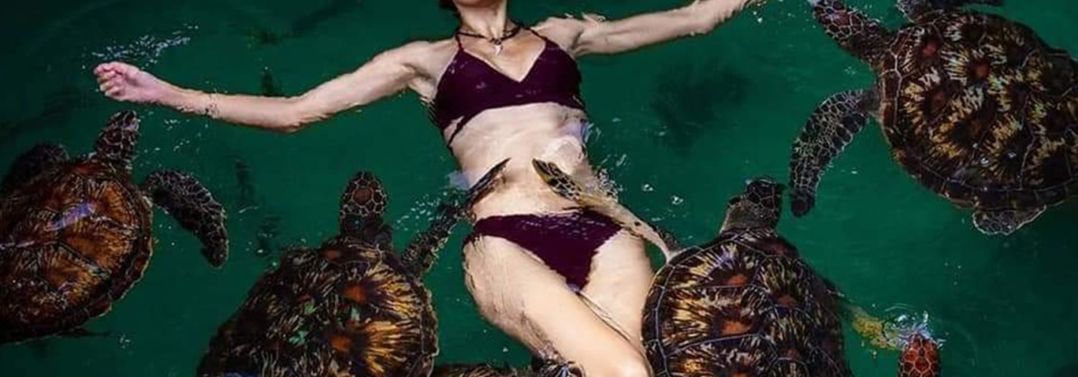 swimming with turtle