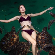 swimming with turtle