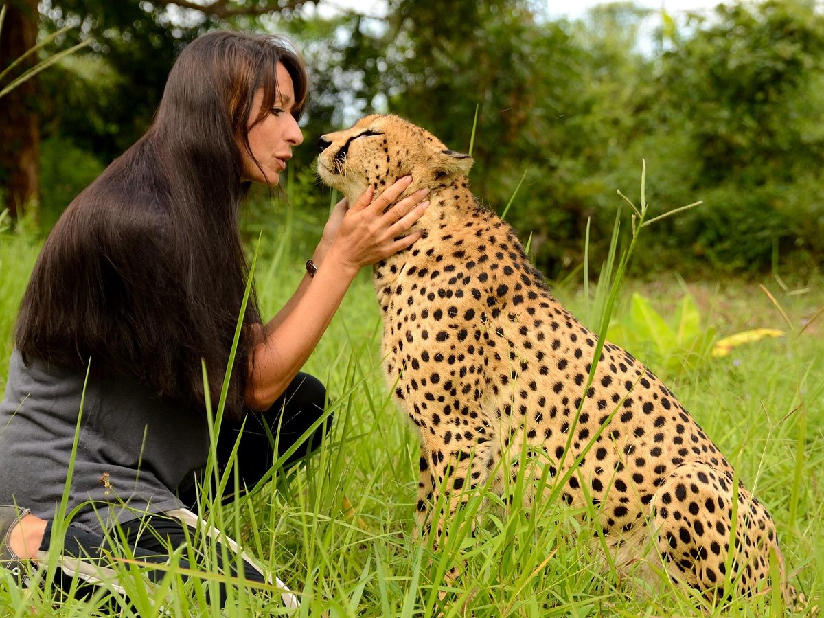 A Wildlife Proposal at Cheetah’s Rock