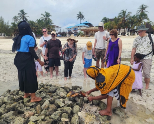 Jambiani village tour